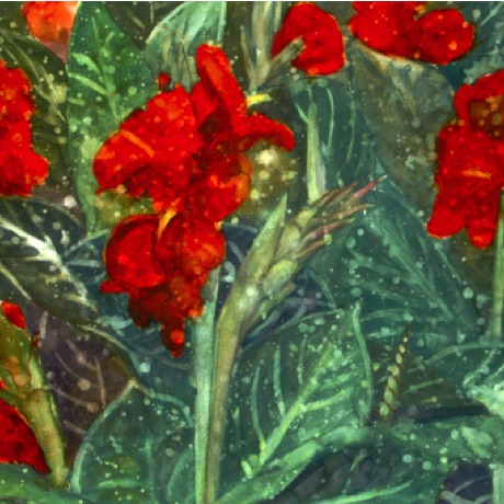 Canna Festival
18x24 Canna Festival
18x24